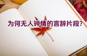 “为何无人钟情的言辞片段？”