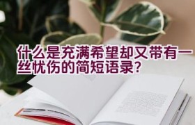 什么是充满希望却又带有一丝忧伤的简短语录？