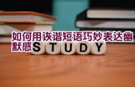如何用诙谐短语巧妙表达幽默感
