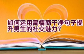如何运用高情商干净句子提升男生的社交魅力？