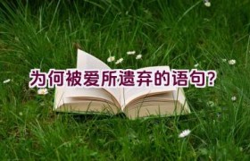 “为何被爱所遗弃的语句？”