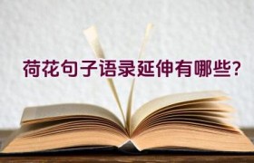荷花句子语录延伸有哪些？