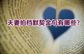 “夫妻拍档默契金句有哪些？”