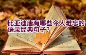 比亚迪唐有哪些令人难忘的语录经典句子？