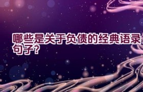 哪些是关于负债的经典语录句子？