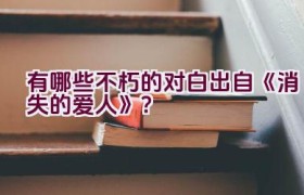 “有哪些不朽的对白出自《消失的爱人》？”