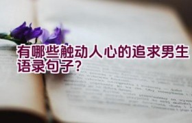 有哪些触动人心的追求男生语录句子？