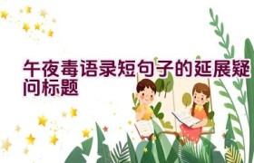 午夜毒语录短句子的延展疑问标题