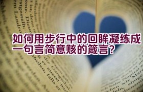 如何用步行中的回眸凝练成一句言简意赅的箴言？