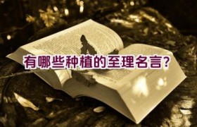 有哪些种植的至理名言？