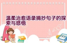 温柔治愈语录摘抄句子的探索与感悟