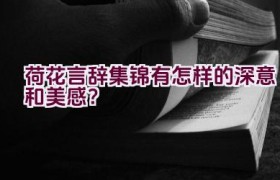 荷花言辞集锦有怎样的深意和美感？