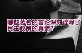 哪些著名的言论深刻诠释了民生政策的真谛？