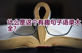 什么是这个有趣句子语录大全？