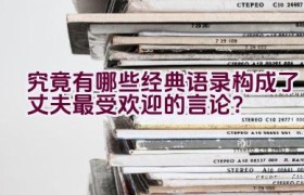究竟有哪些经典语录构成了丈夫最受欢迎的言论？