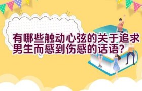 有哪些触动心弦的关于追求男生而感到伤感的话语？