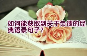 如何能获取到关于负债的经典语录句子？