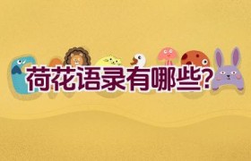荷花语录有哪些？