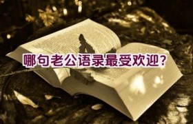 哪句老公语录最受欢迎？