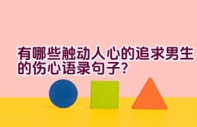 有哪些触动人心的追求男生的伤心语录句子？