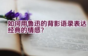 如何用鲁迅的背影语录表达经典的情感？