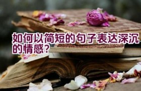 如何以简短的句子表达深沉的情感？