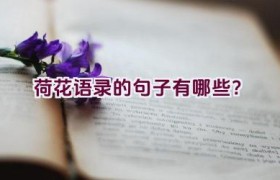 荷花语录的句子有哪些？