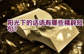 阳光下的话语有哪些精辟短句？