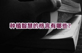 种植智慧的格言有哪些？