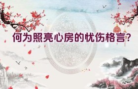 何为照亮心房的忧伤格言？