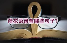 荷花语录有哪些句子？