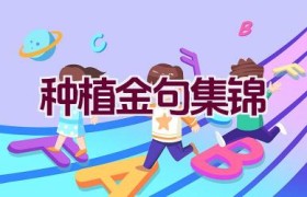 种植金句集锦