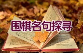 “围棋名句探寻”