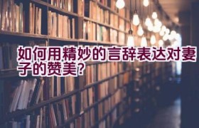 如何用精妙的言辞表达对妻子的赞美？