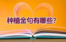 “种植金句有哪些？”