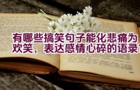 有哪些搞笑句子能化悲痛为欢笑，表达感情心碎的语录？