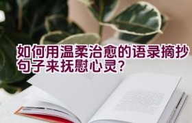 如何用温柔治愈的语录摘抄句子来抚慰心灵？