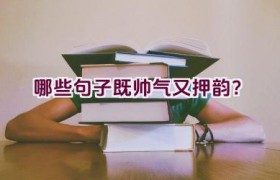 哪些句子既帅气又押韵？