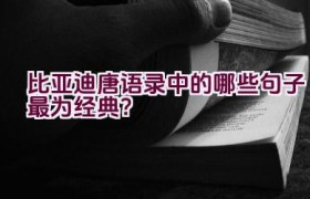 比亚迪唐语录中的哪些句子最为经典？