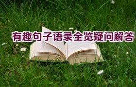 有趣句子语录全览疑问解答