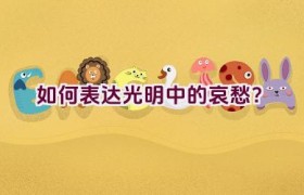 如何表达光明中的哀愁？