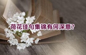 荷花佳句集锦有何深意？