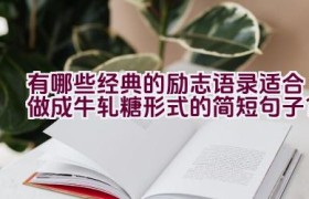 有哪些经典的励志语录适合做成牛轧糖形式的简短句子？