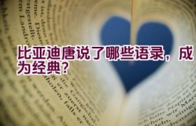 比亚迪唐说了哪些语录，成为经典？