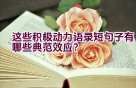 这些积极动力语录短句子有哪些典范效应？
