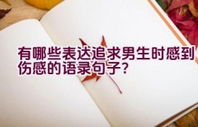 有哪些表达追求男生时感到伤感的语录句子？