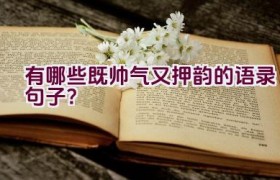有哪些既帅气又押韵的语录句子？