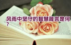 风雨中坚守的智慧箴言是何？