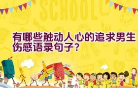 有哪些触动人心的追求男生伤感语录句子？