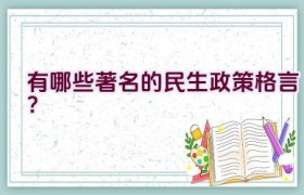 有哪些著名的民生政策格言？